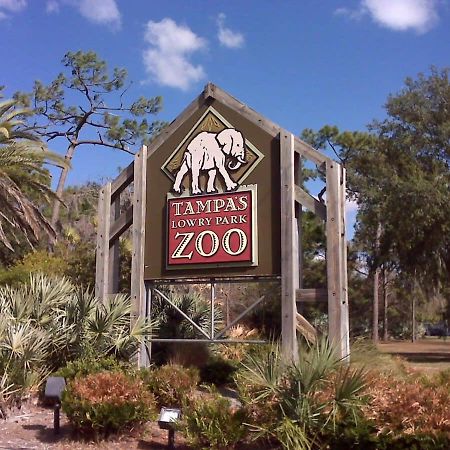 Budget Friendly Sleeps 8 Discounts Available Tampa Extérieur photo