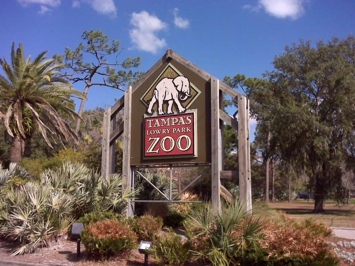 Budget Friendly Sleeps 8 Discounts Available Tampa Extérieur photo